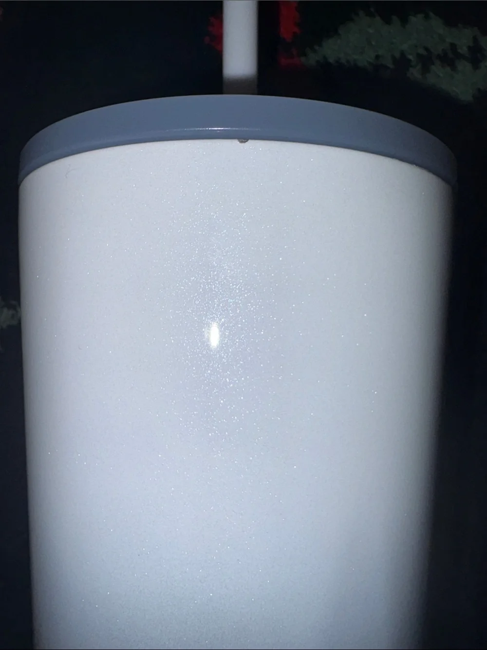 2021 Holiday Starbucks Silver and White Ombre Stainless Tumbler with Straw